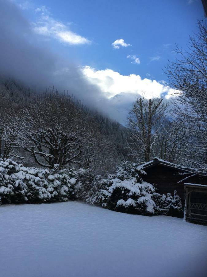 Chalet Des Petits Loups シャモニー エクステリア 写真